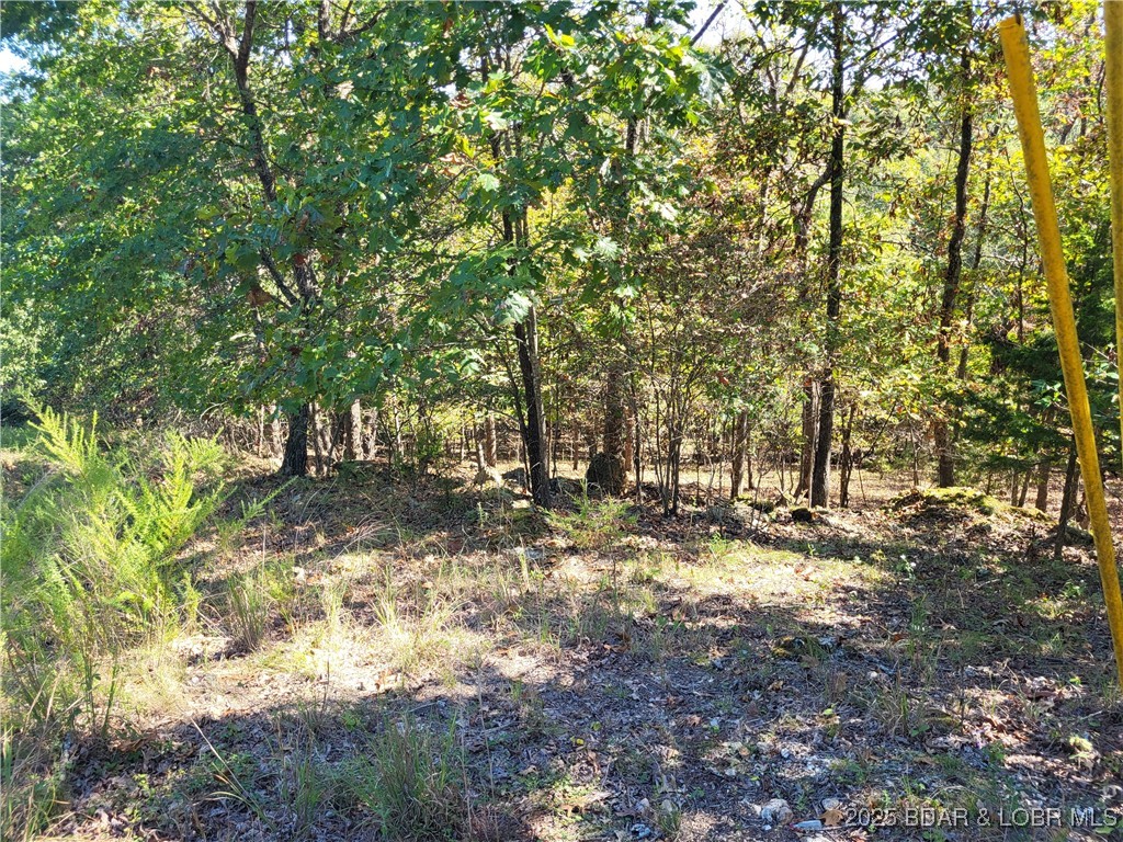 English Gardens - Land