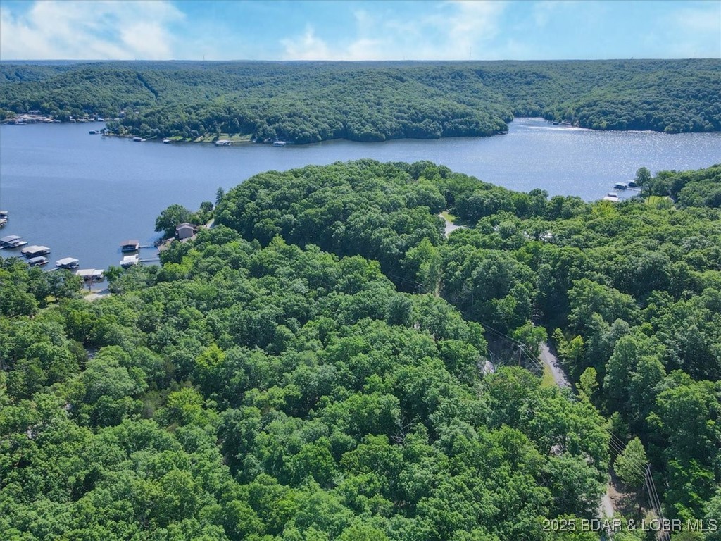 Niangua Lake Estates - Land