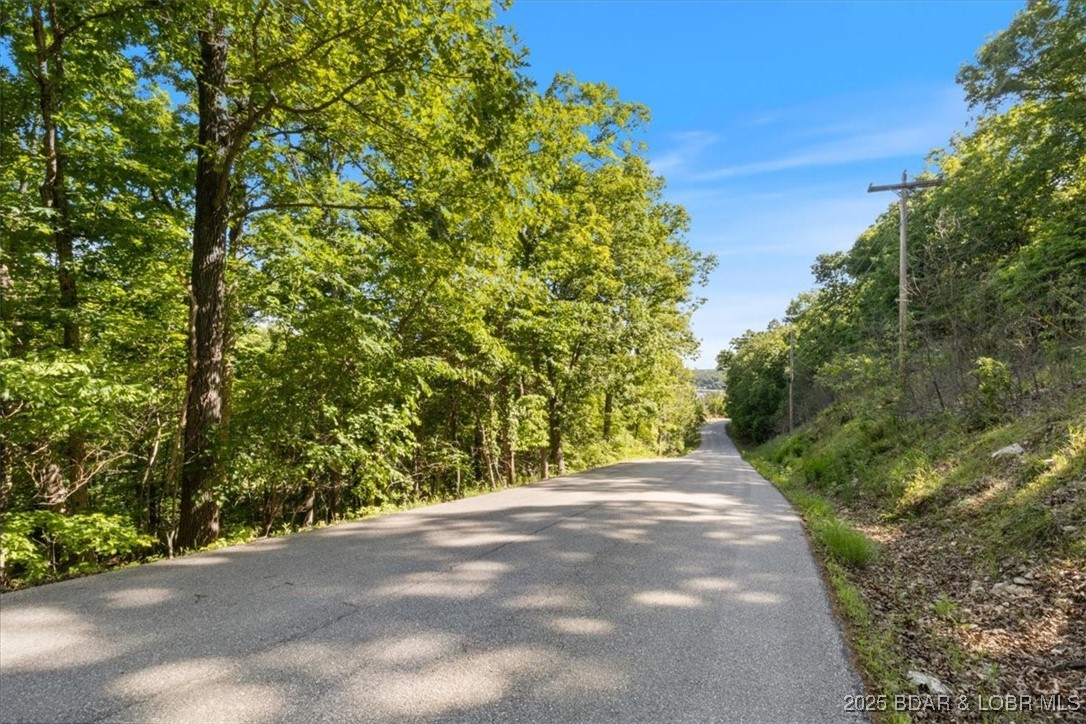 Niangua Lake Estates - Land