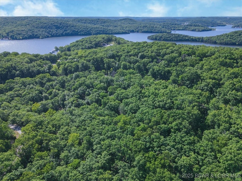 Niangua Lake Estates - Land