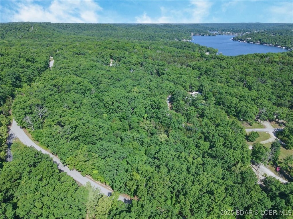 Niangua Lake Estates - Land