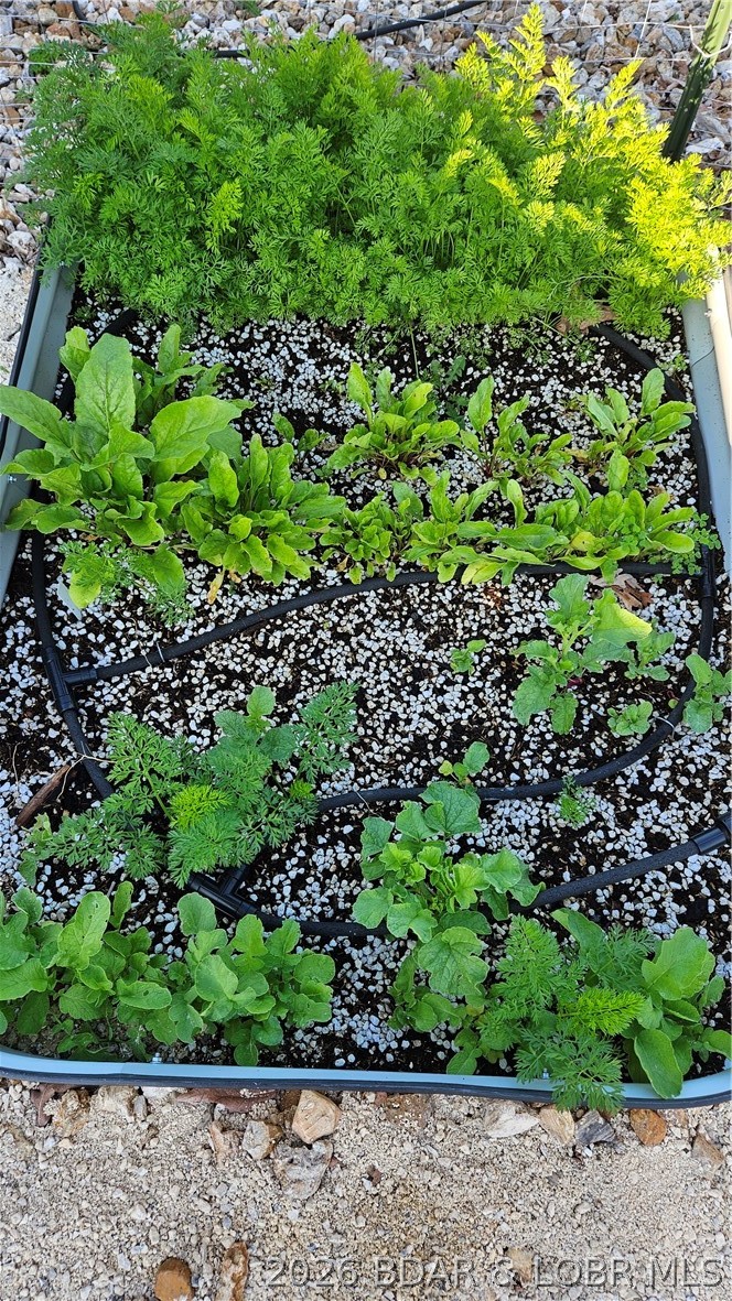 Johnsons Bay - Residential