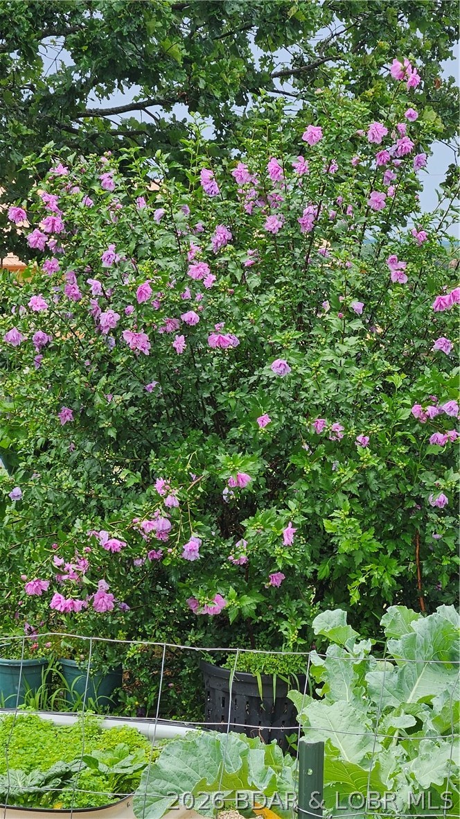 Johnsons Bay - Residential