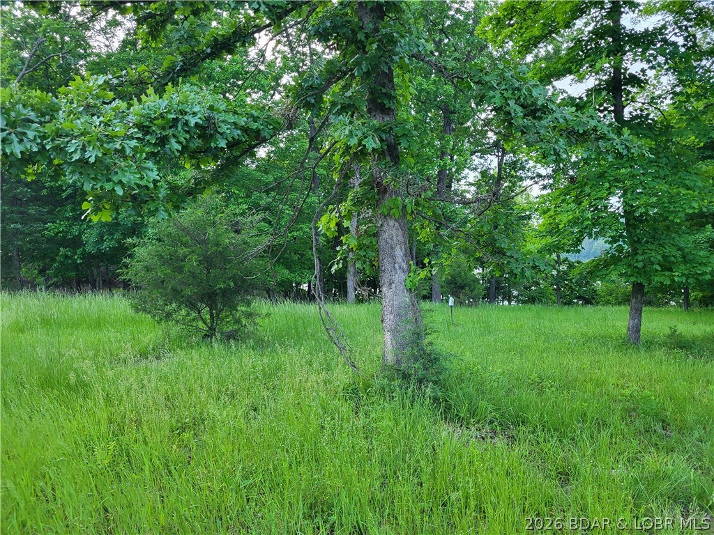 Emerald Hills - Land