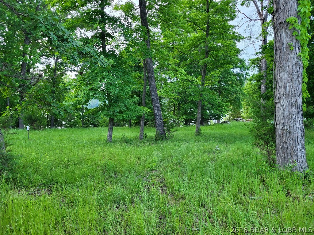 Emerald Hills - Land