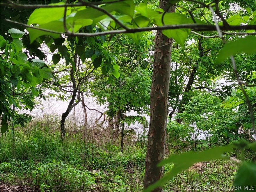 Build your lake dream on this 0.85-acre lot located at the 63MM of Lake of the Ozarks. Situated in a gated community, this property captures expansive main channel views while offering the benefit of calmer waters—perfect for swimming, fishing, and boating. Utilities including water, sewer, and electric are already in place, making it ready for your custom build. Enjoy the best of both worlds with peaceful lake conditions and sweeping panoramic scenery.