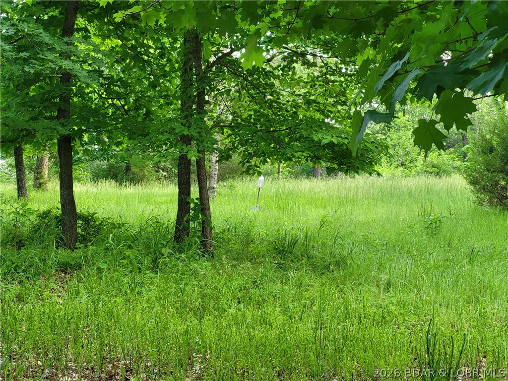 Emerald Hills - Land
