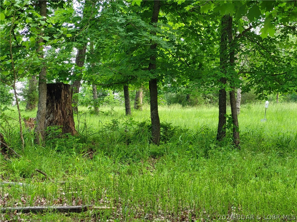 Emerald Hills - Land