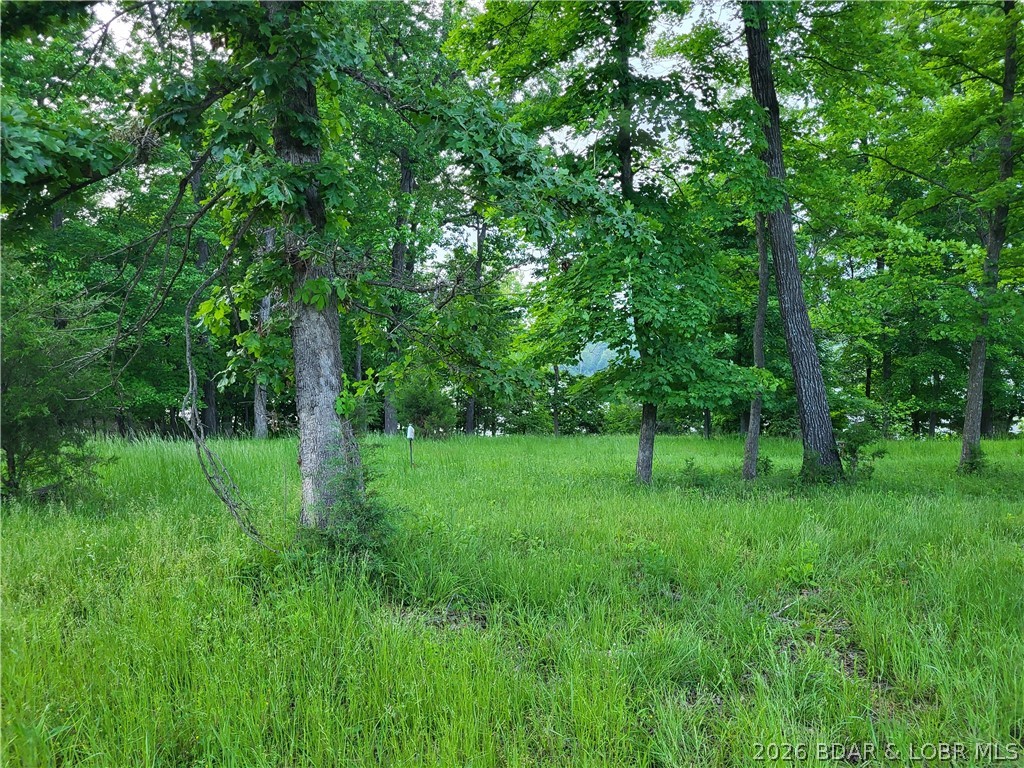 Emerald Hills - Land