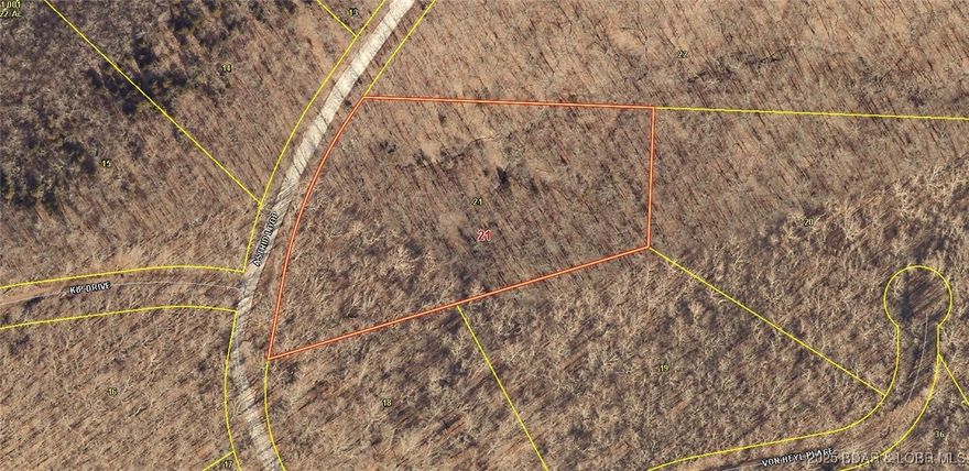 3.50-acre wooded lot with rolling terrain—great spot to build and enjoy some quiet nature. Located in the gated Forbes Lake of the Ozarks community, which offers 3 boat ramps, 3 stocked interior lakes, clubhouse, RV park, tennis and basketball courts, gun range and more. Closest lake is Welch Lake. Lot is not intended for recreational purposes. Access by appointment only with a realtor. Community restrictions available at www.forbesloa.com.