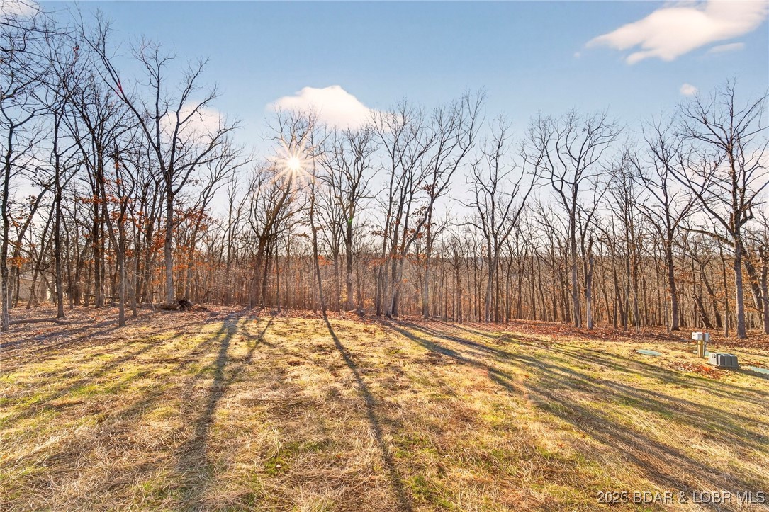 Palisades Point # 2 - Residential