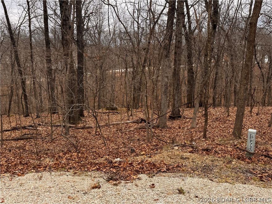 Developers... Double lots in Four Seasons... here is your chance to build your dream home and have access to all Amenities.  Including a few are Community pools, Playgrounds, Dog park, Walking paths, Trails, Campground, Trailer parking, boat ramps, community center with gym, interior lakes for fishing, boat storage and much more.  Only minutes to many restaurants, fuel stops, marina and Golfing.  You will appreciate that beautiful drive and quiet neighborhood.  Click https://fourseasonspoa.com to see all that Four Seasons offers.