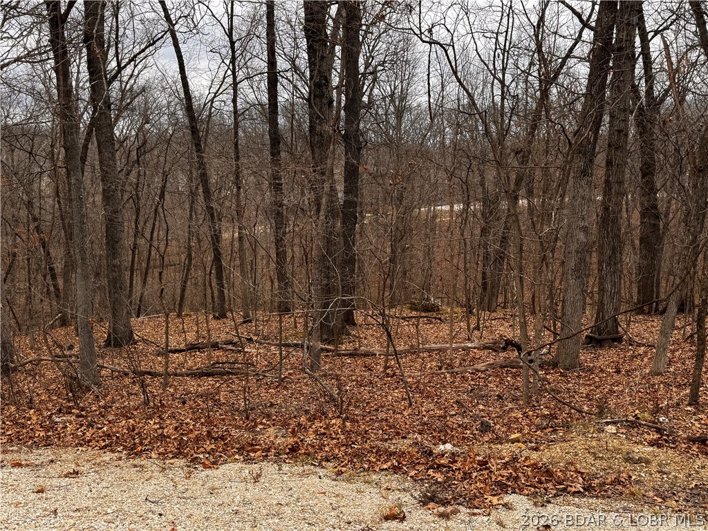 Cornett Cove No. 4 - Land