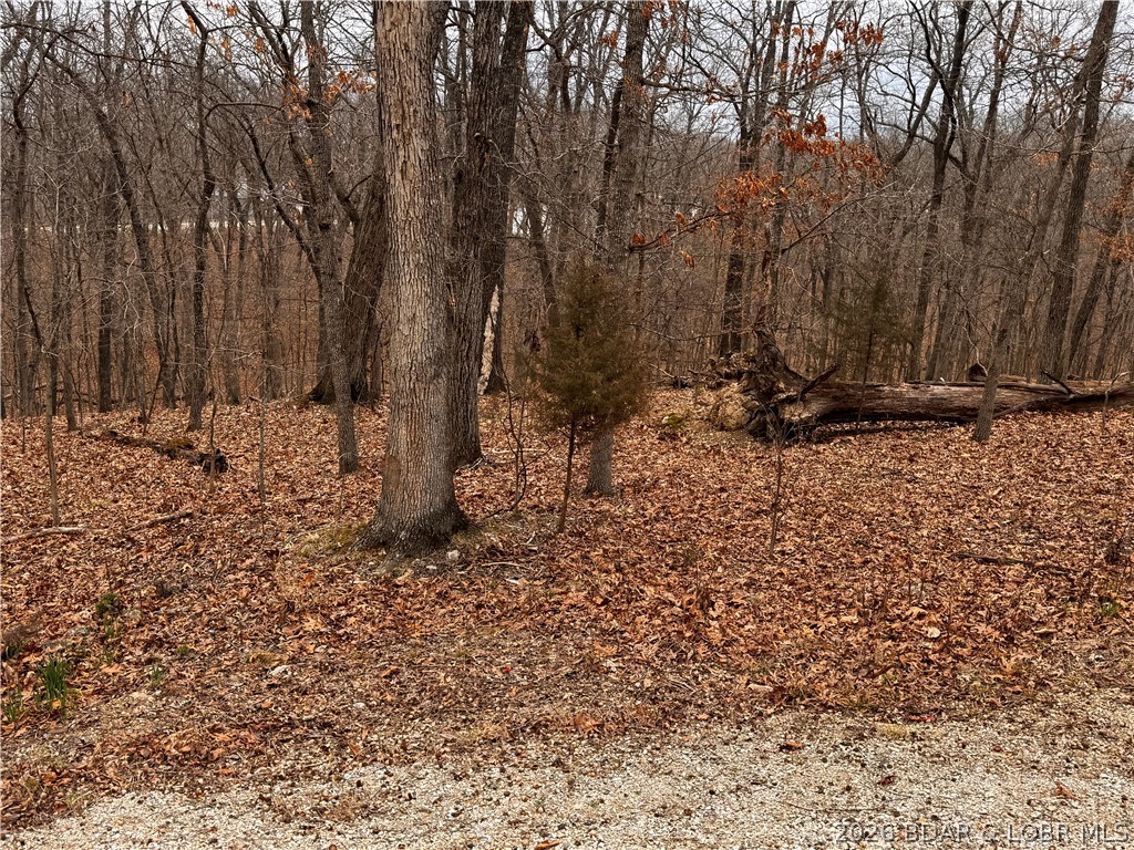 Cornett Cove No. 4 - Land