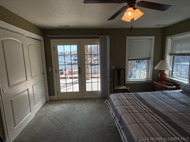 Little Village - Residential