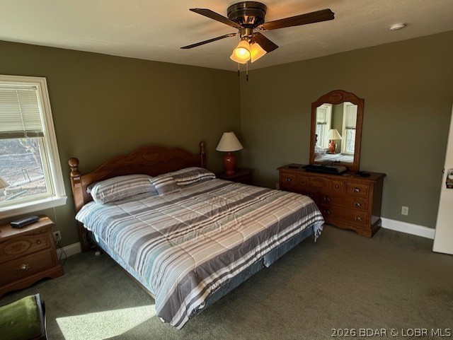 Little Village - Residential