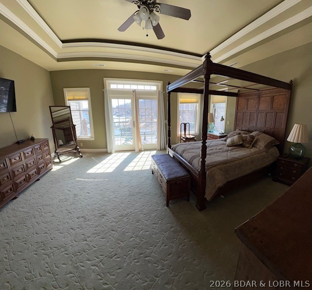 Little Village - Residential