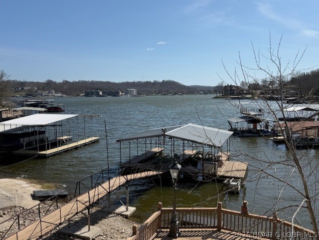 Little Village - Residential