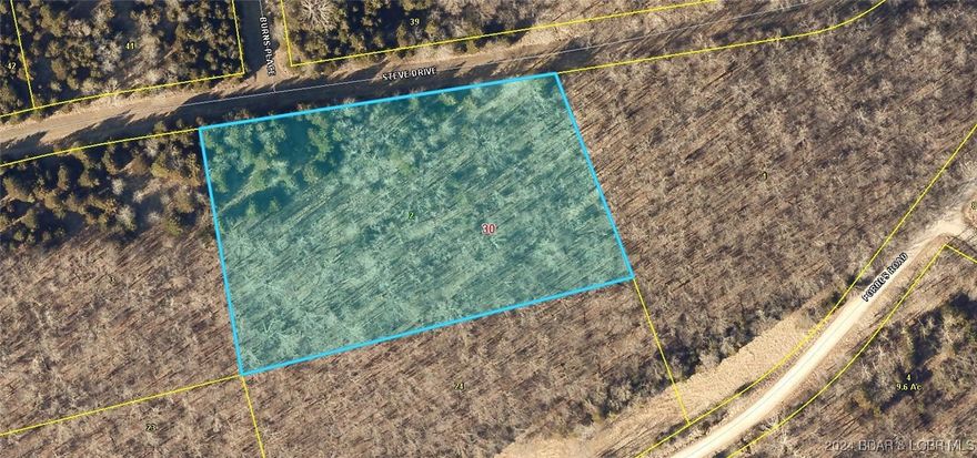 Nice Building Lot on 3.15 Acres at Forbes Lake of the Ozarks Park. A private gated residential & recreational community between Truman Dam to the west & Bagnell Dam to the east. The Park has over 12,800 acres & spans 5 miles of shoreline property along the Lake; 4 private Lakes dedicated to the landowners. The scenic beauty of the Park is enhanced by its natural wooded setting throughout that includes oak, walnut, hickory, elm, sycamore that brings with it the beauty of Missouri Wildlife. The Park has 148 miles of graveled & grass roads that will meet the needs of walkers, hikers, & horseback riders. As a Wildlife sanctuary, you undoubtedly come across a variety of animals, both large & small during your walk. The Park is located on the Principle Mississippi Migration Flyway. This Flyway brings a wide variety of birds to the area. Forbes Park has 3 boat ramps with access to the Lake of the Ozarks. These ramp areas, & amenities are for use by the land owners. Also, available is a nice RV Park, Tennis Courts, Picnic Areas, Playground, 4 Fishing Lakes, Pavilion for group meetings. Enjoy the beauty of the Ozarks. Visit FORBESLOA.COM for more information. Electric on property. C-2 area.