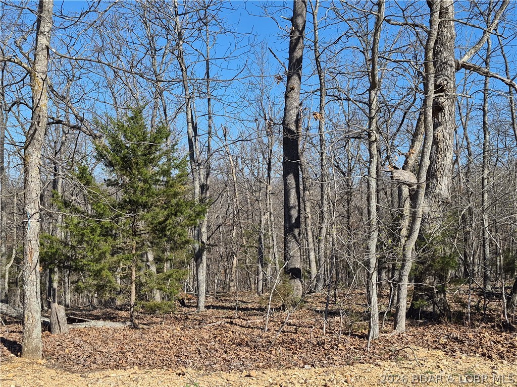 Cornett Cove No. 7 - Land