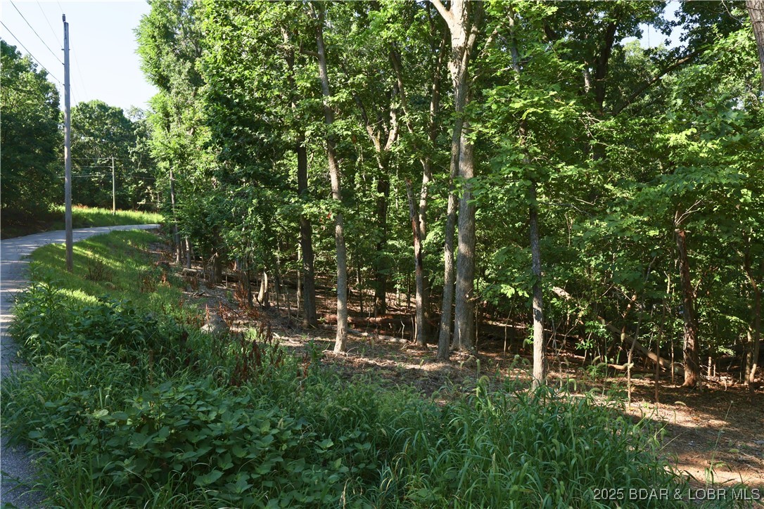 Shawnee Bend No. 1 - Land