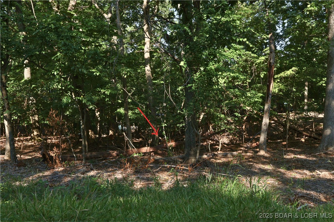 Shawnee Bend No. 1 - Land