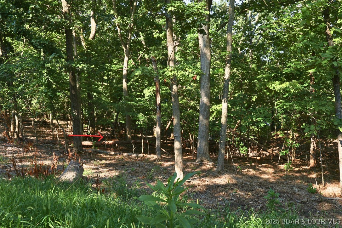 Shawnee Bend No. 1 - Land