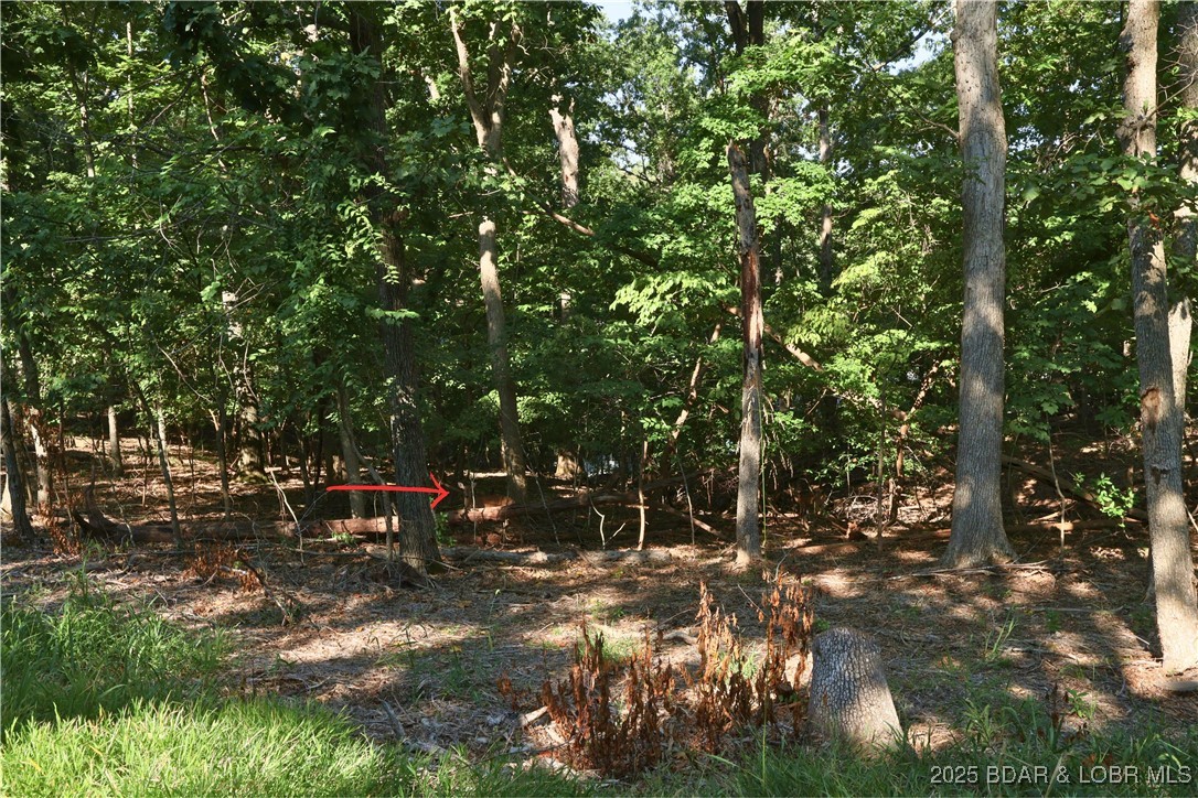 Shawnee Bend No. 1 - Land