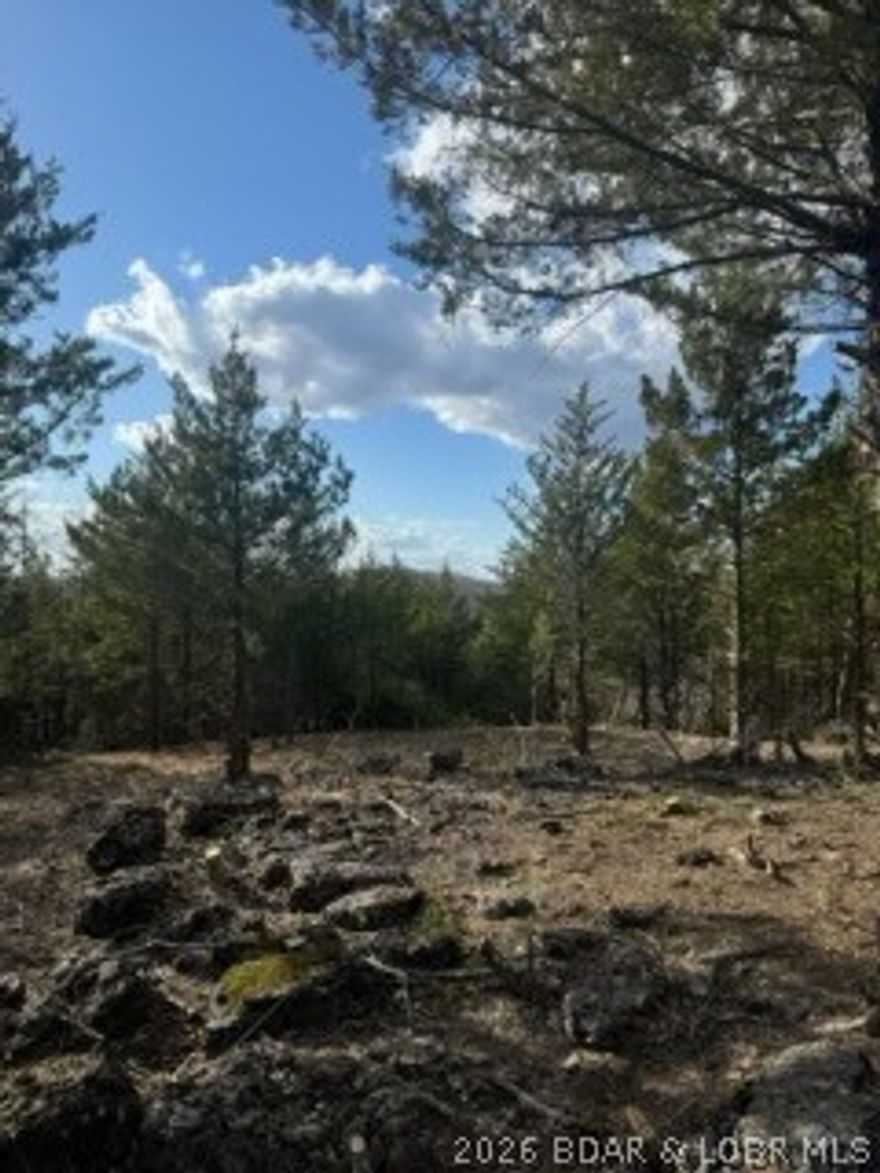 Private acreage with deeded lake access ready for your vacation or full time home. Partially cleared area by access road. Area has lake access with ramp on Alta Drive. This area is not heavily built up so you have a quiet and private location to enjoy. Priced lower than comparable recent land sales in this area. Take this opportunity to have your piece of the Ozarks Today.