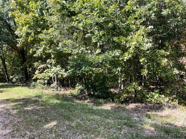 Forbes Lake of the Ozarks - Land