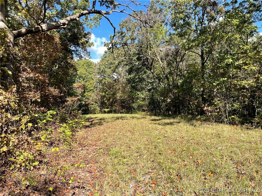 Forbes Lake of the Ozarks - Land
