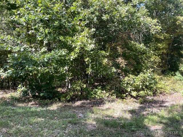 Forbes Lake of the Ozarks - Land