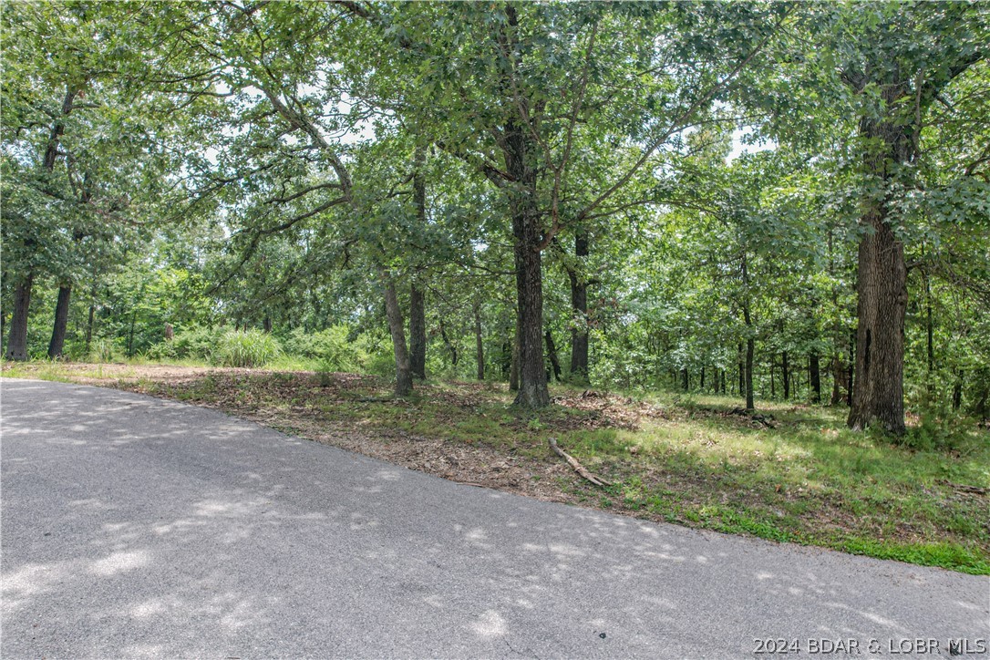 Lake Ozark, Missouri 65049, United States, ,Land,Active,52679