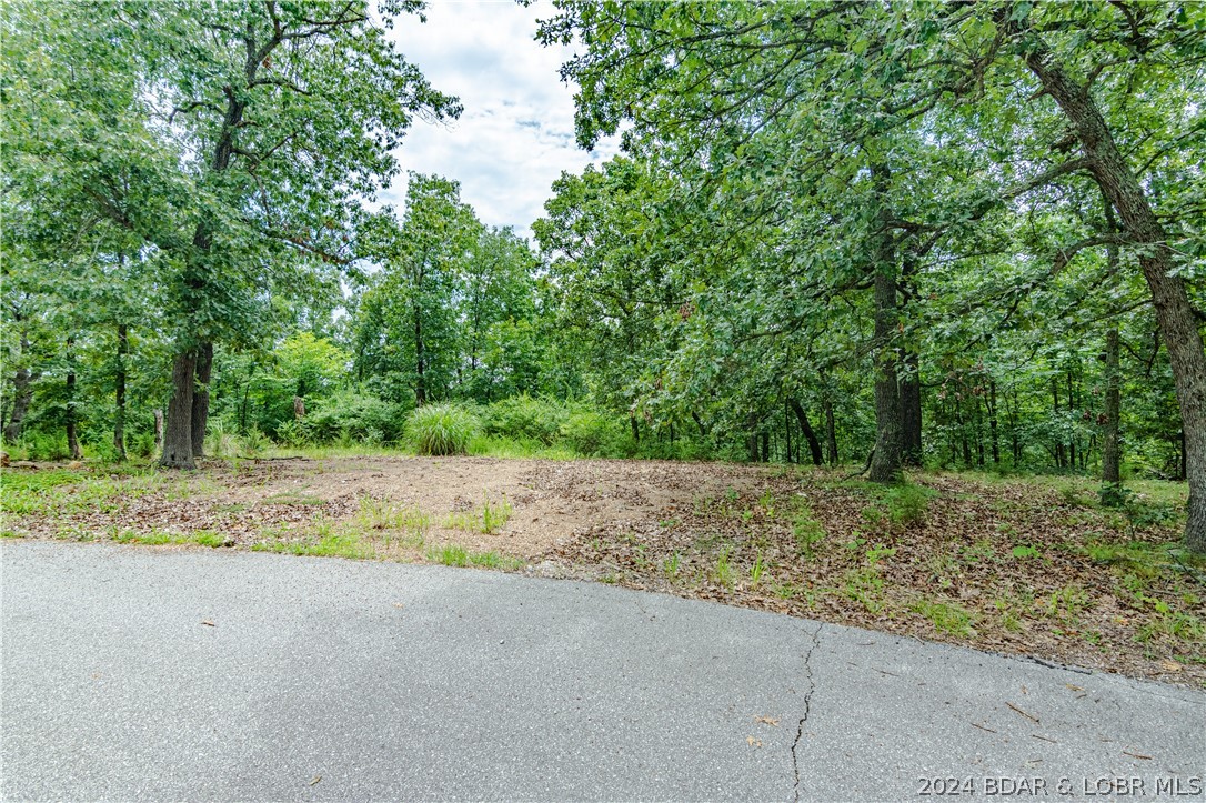 Lake Ozark, Missouri 65049, United States, ,Land,Active,52679