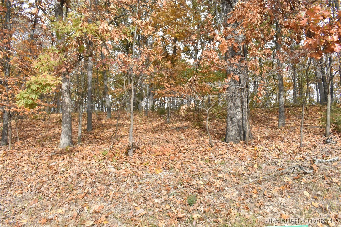 Imperial Point - Land