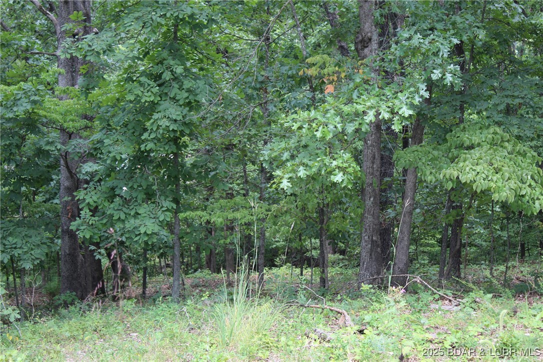 Woodhaven Estates - Land