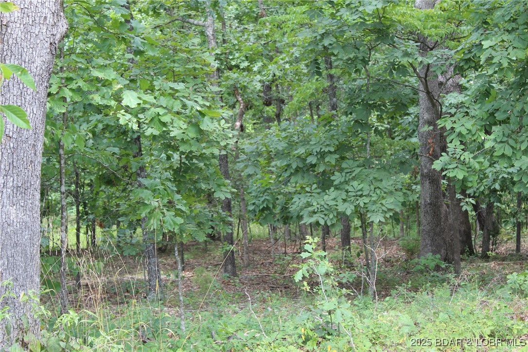 Woodhaven Estates - Land