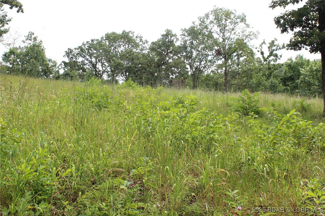 Woodhaven Estates - Land