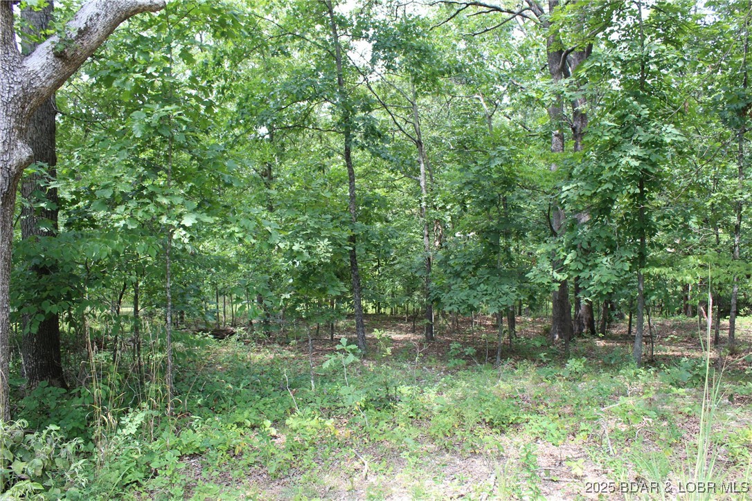 Woodhaven Estates - Land