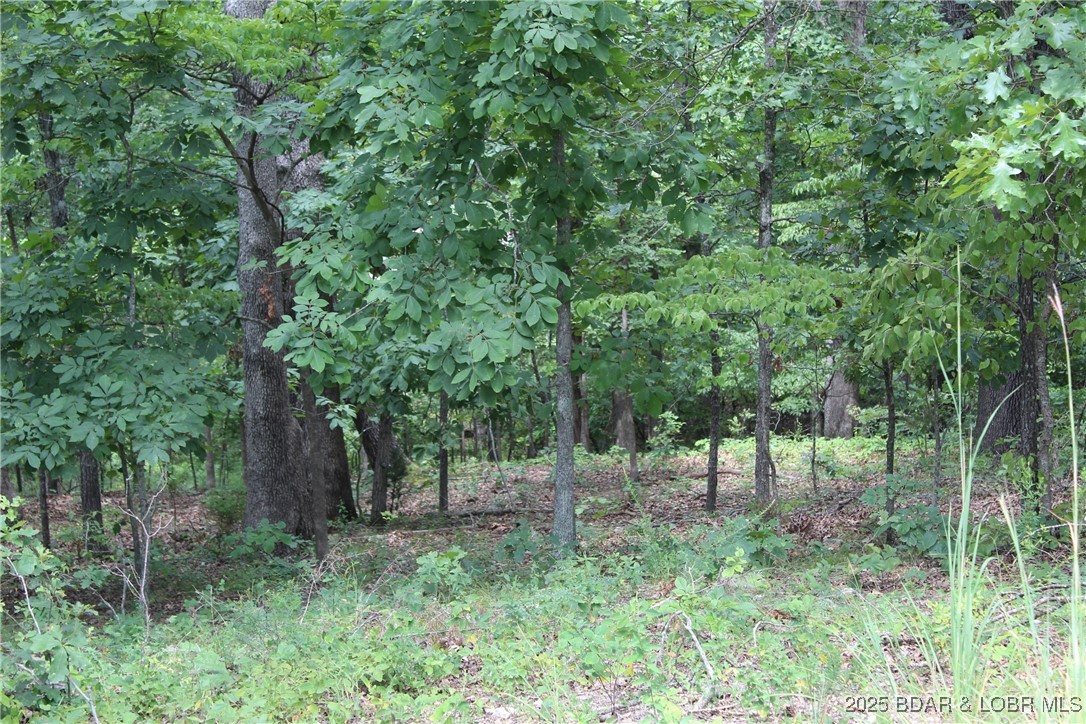 Woodhaven Estates - Land