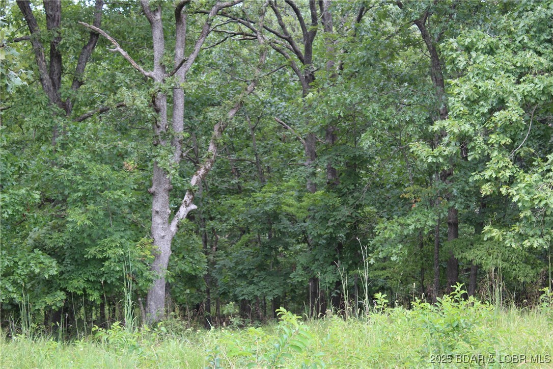 Woodhaven Estates - Land