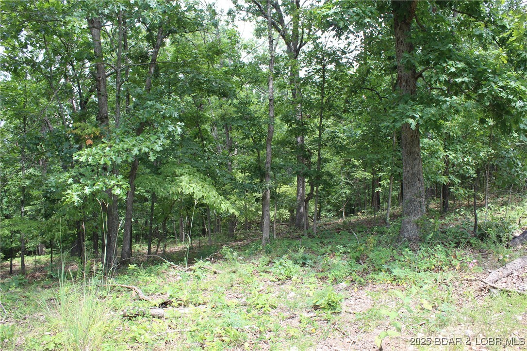 Woodhaven Estates - Land