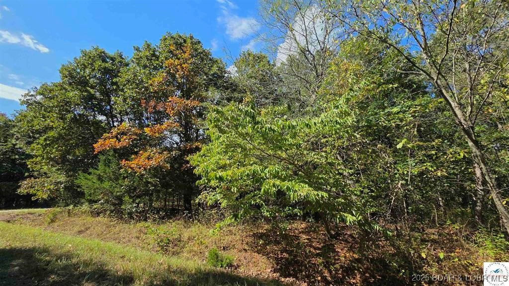 Forbes Lake of the Ozarks - Land