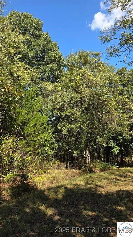 Forbes Lake of the Ozarks - Land