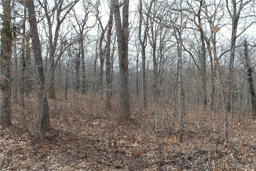 Peaceful 3.25-acre lot in gated Forbes Lake of the Ozarks Park! Enjoy 3 interior lakes, 3 boat ramps to the calmer side of the Lake, daydocks, tennis courts, RV park & more. Just 30 minutes to Warsaw and a little over 2 hours to Kansas City. Come see—you’ll love it here!