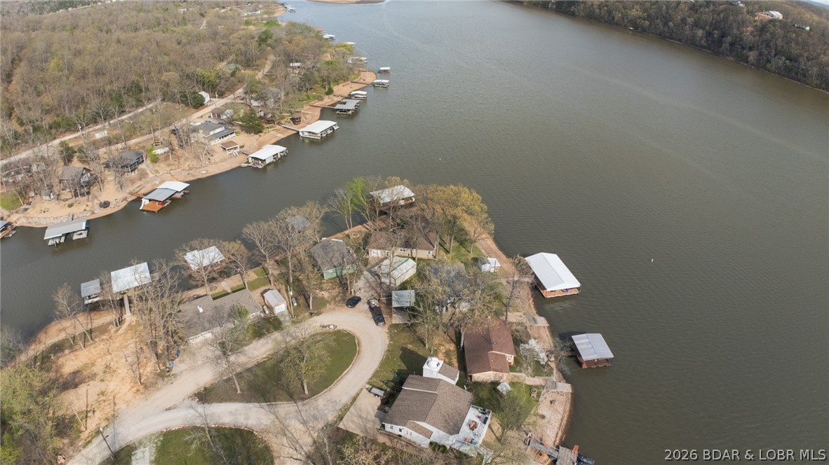 Golden Goose - Residential