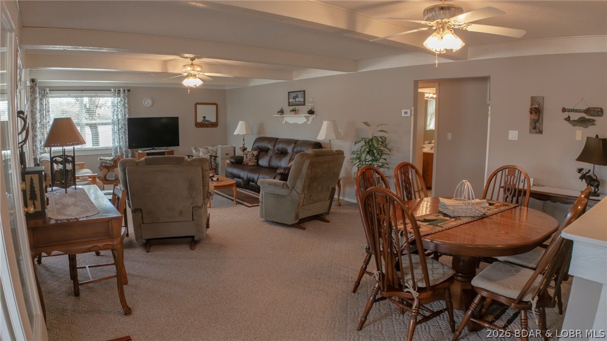 Golden Goose - Residential