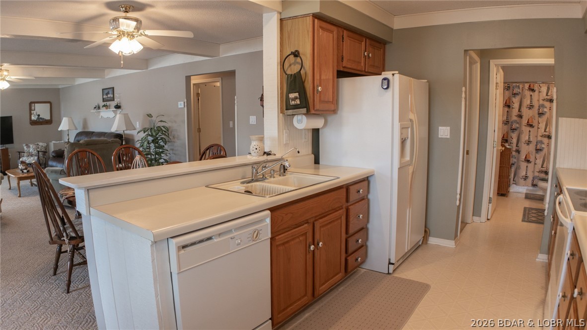 Golden Goose - Residential