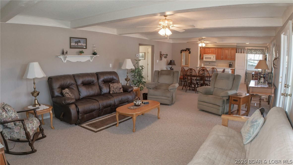 Golden Goose - Residential