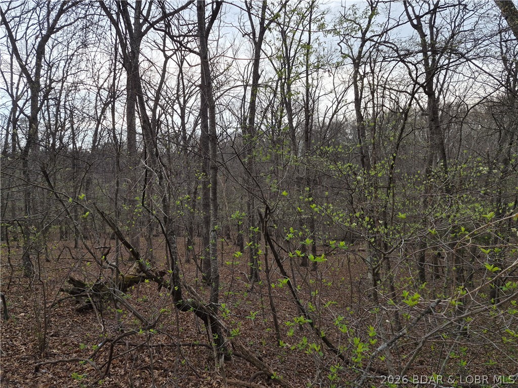 Cornett Cove No. 2 - Land